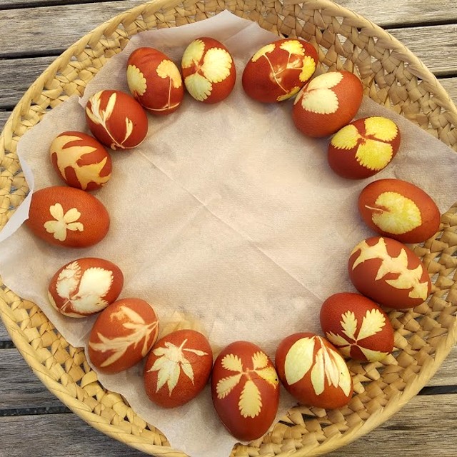 Barvanje jajc - pirhov s čebulnimi olupki